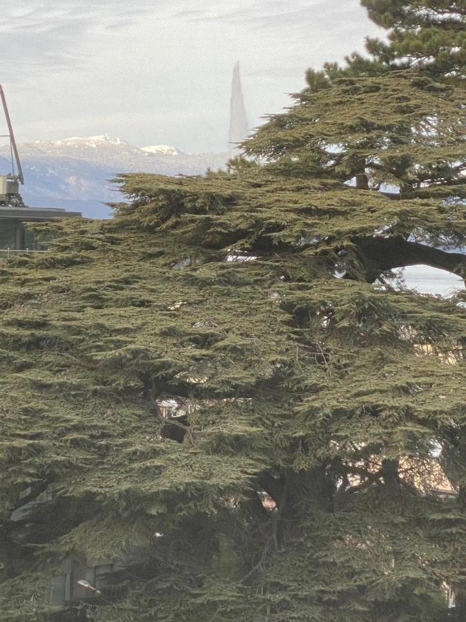 Geneve, Plein Centre,Belle Vue Lac, Splendide Et Grand Appartement Eksteriør bilde