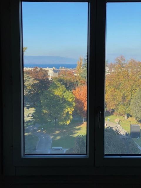 Geneve, Plein Centre,Belle Vue Lac, Splendide Et Grand Appartement Eksteriør bilde